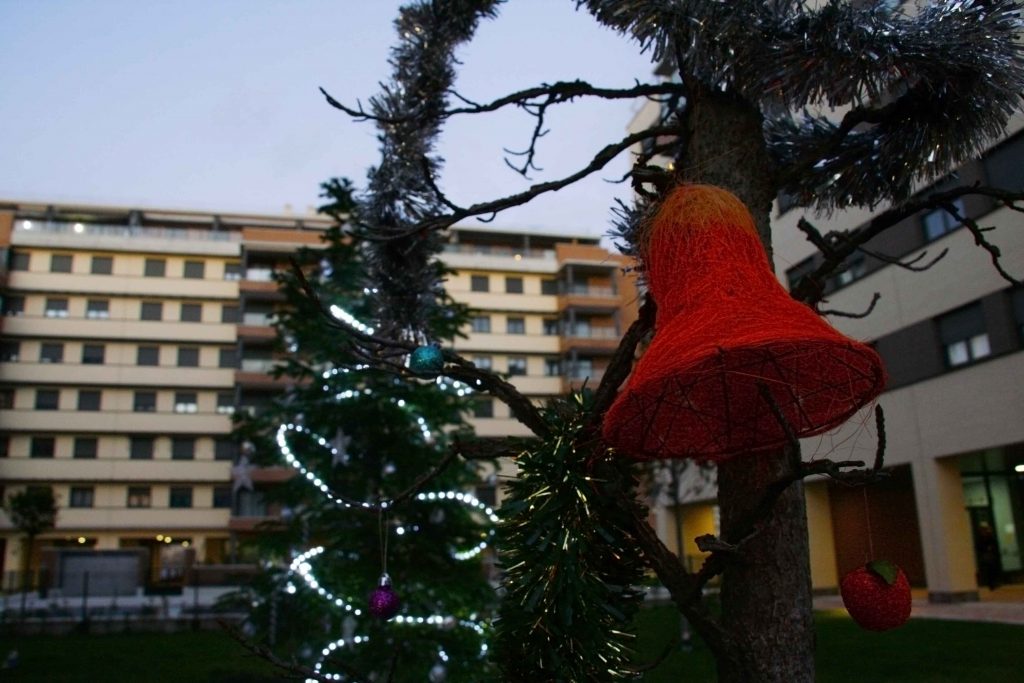 Nochevieja en El Cañaveral 2017